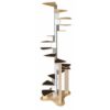 Cat Spiral Staircase