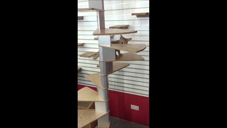 Fantastic Cat Spiral Staircase Image 764