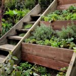 Gallery Of Hillside Stairs Design Photo 249