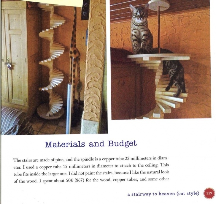 Splendid Cat Spiral Staircase Image 965