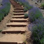 Top Hillside Stairs Design Picture 432
