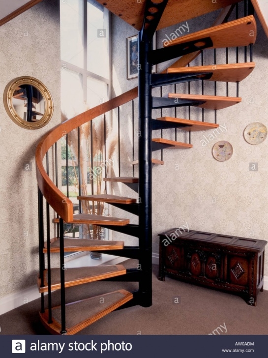 Amazingly Domestic Spiral Staircase Image 287