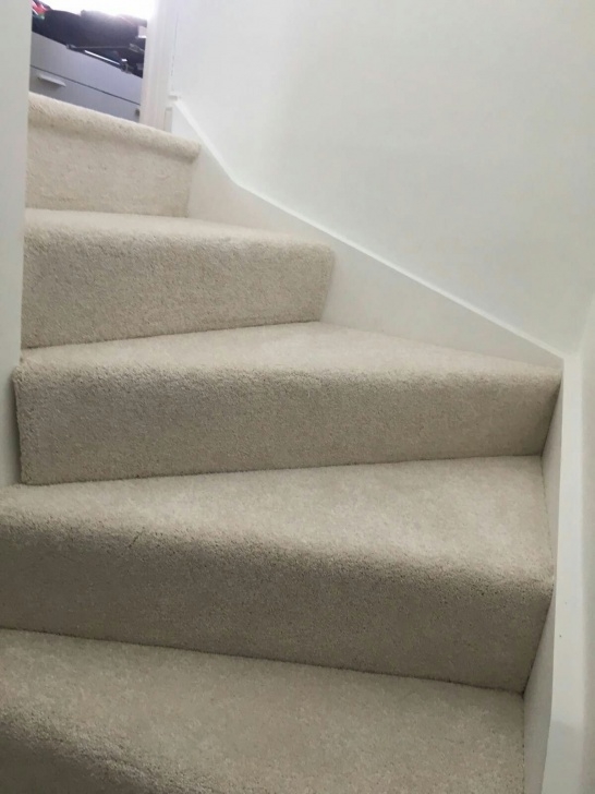 Best Carpet Suitable For Stairs Image 430