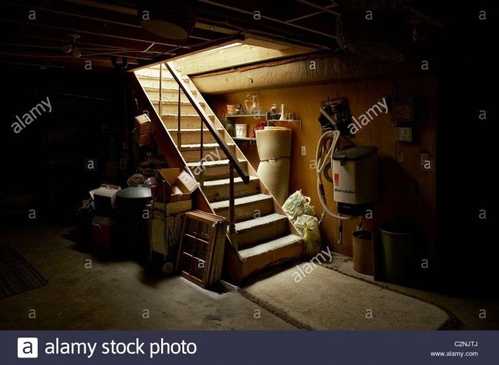 Best Stairs Going Down To Basement Picture 063