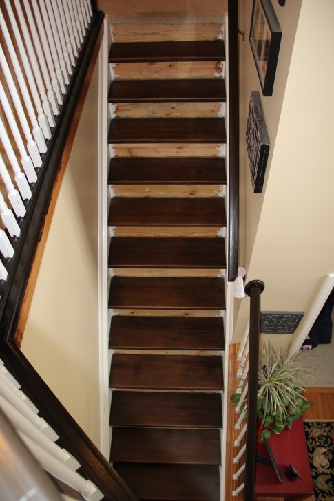 Creative Staining Stair Treads Photo 514