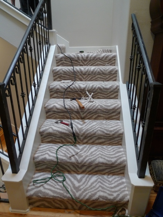 Good Zebra Stair Carpet Image 326