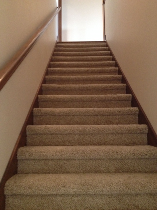 Great Bullnose Stairs Carpet Photo 000