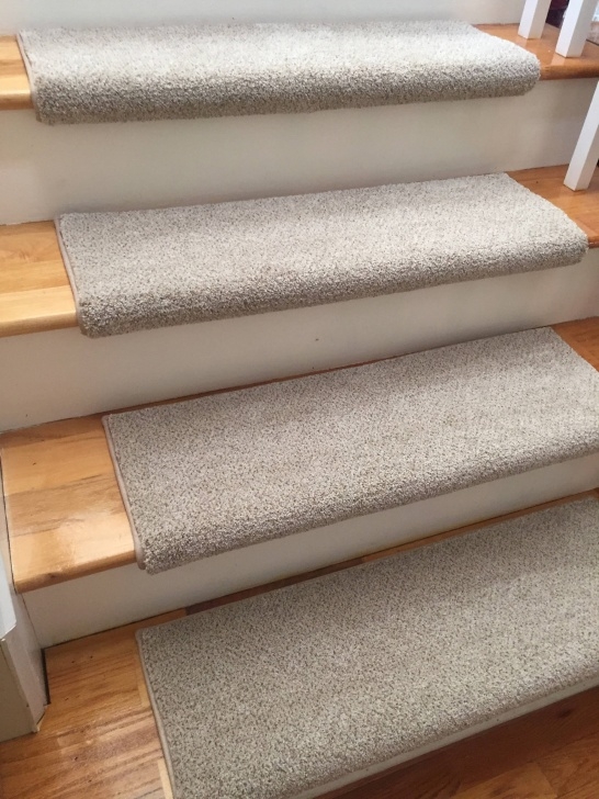 Great Bullnose Stairs Carpet Picture 580
