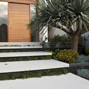 Modern Entrance Stairs