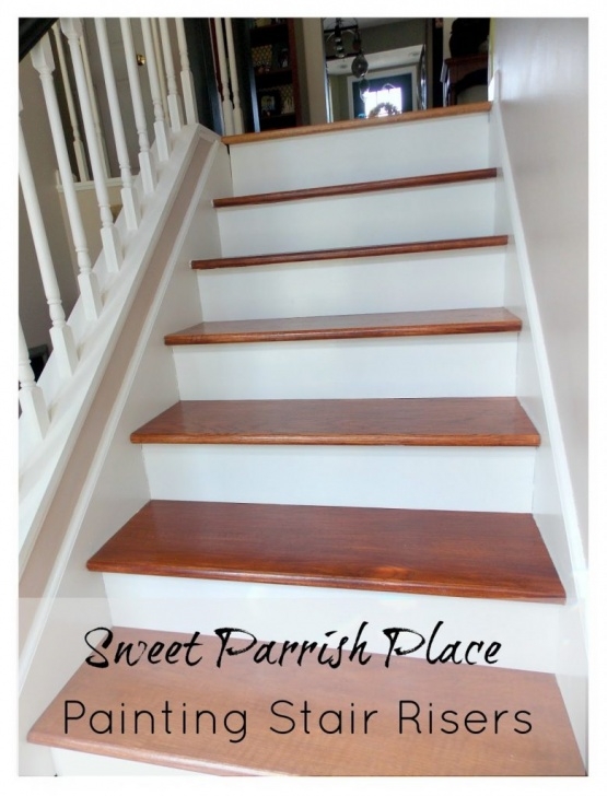 Innovative Painted Risers On Stairs Photo 021