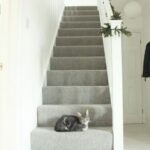 Inspiration Gray Carpet On Stairs Image 611