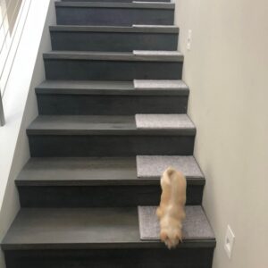 Modern Stair Treads