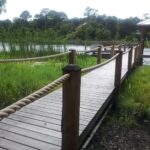 Outstanding Rope Handrail Outdoor Picture 168