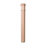Remarkable Wood Newel Posts Image 904