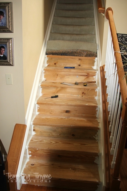 Sensational Carpeted Stairs To Wood Photo 057